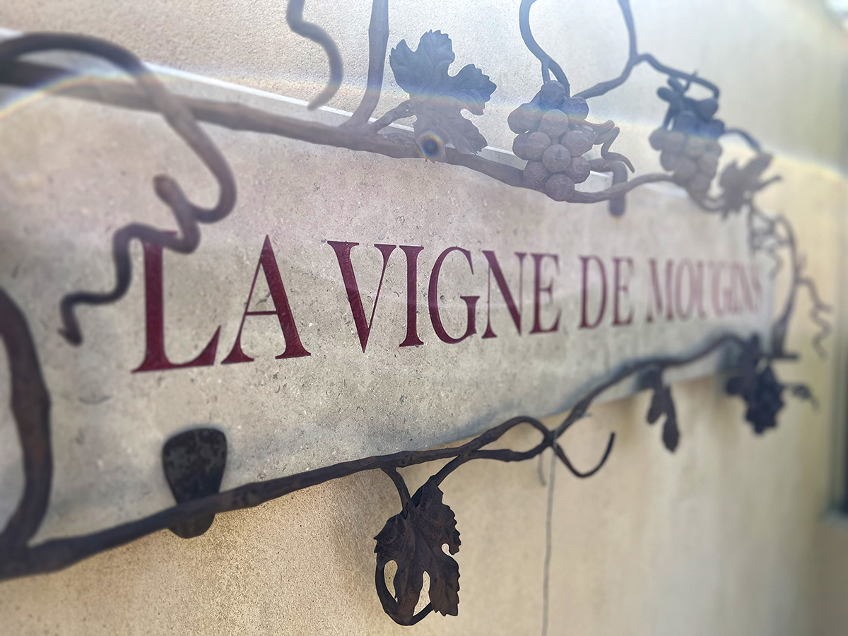 vigne-de-mougins