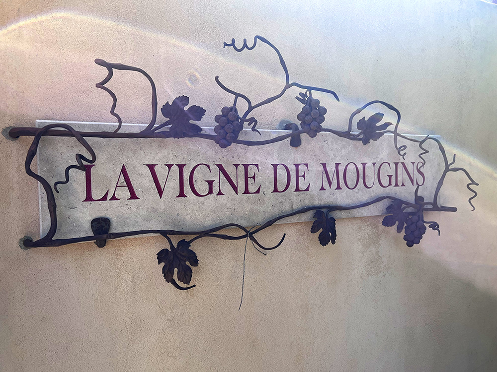 vigne-de-mougins2